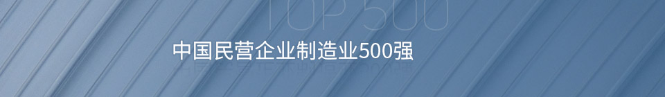 中國民營(yíng)企業(yè)制造業(yè)500強(qiáng)